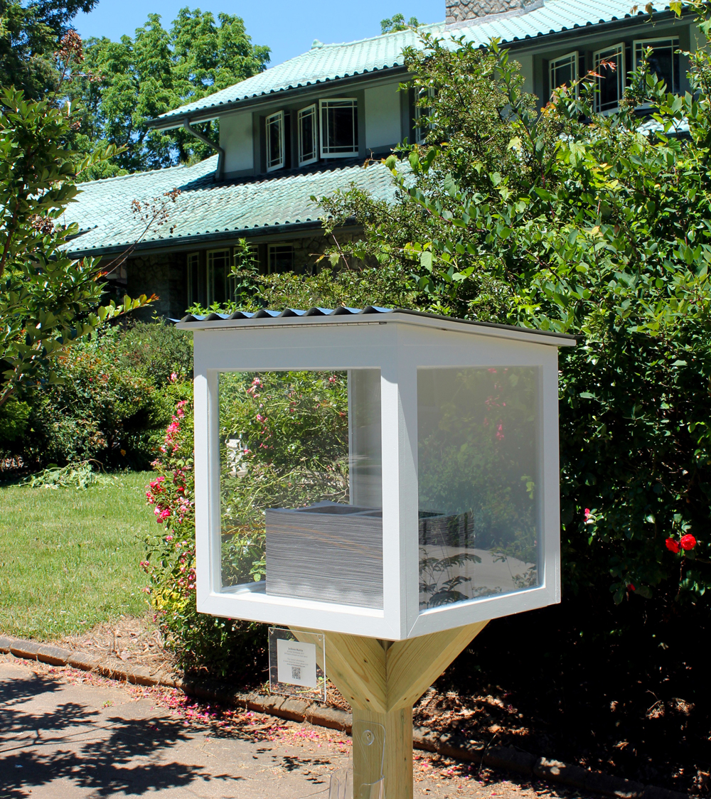 Martin Sculpture in Art Viewing Box