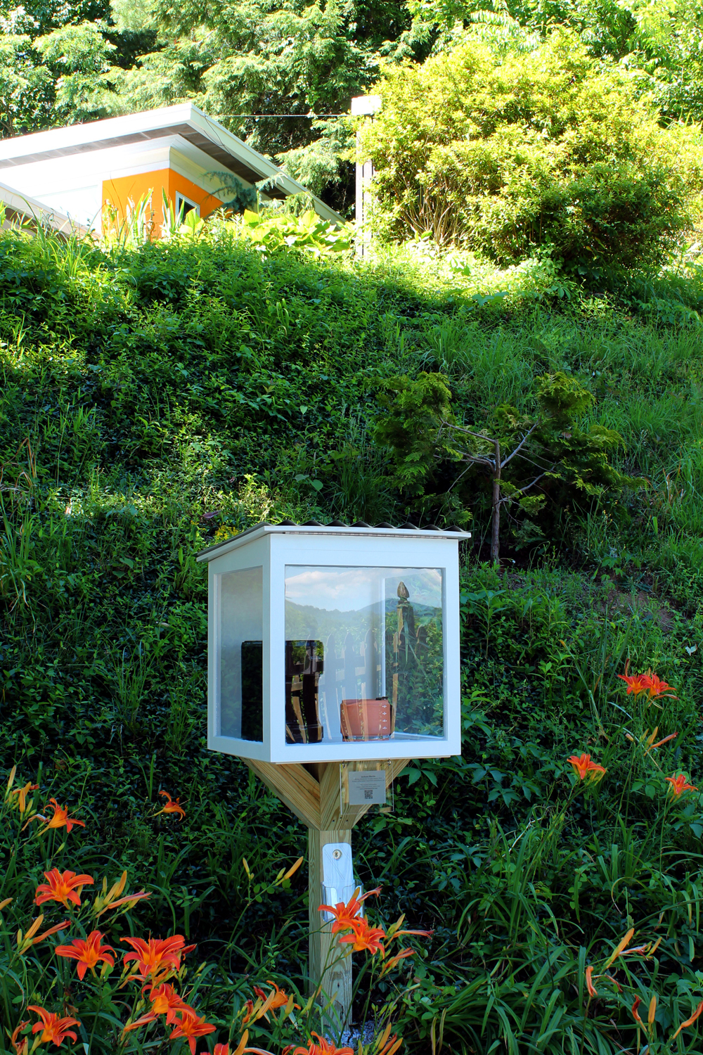 Martin Sculpture in Art Viewing Box