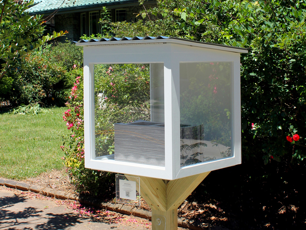 Art Viewing Box in Yard