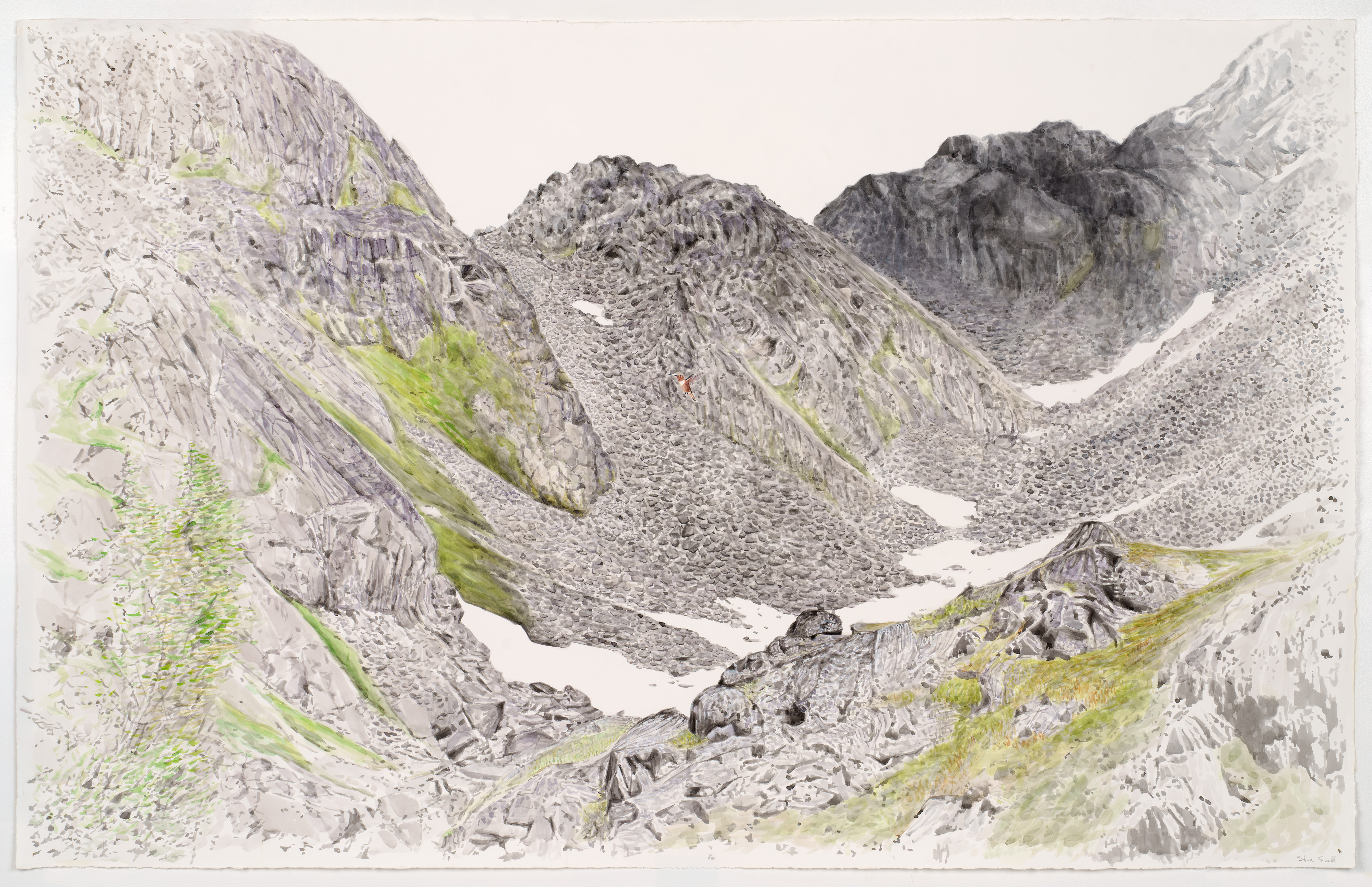 black, white and green mountain valley with snow and small hummingbird