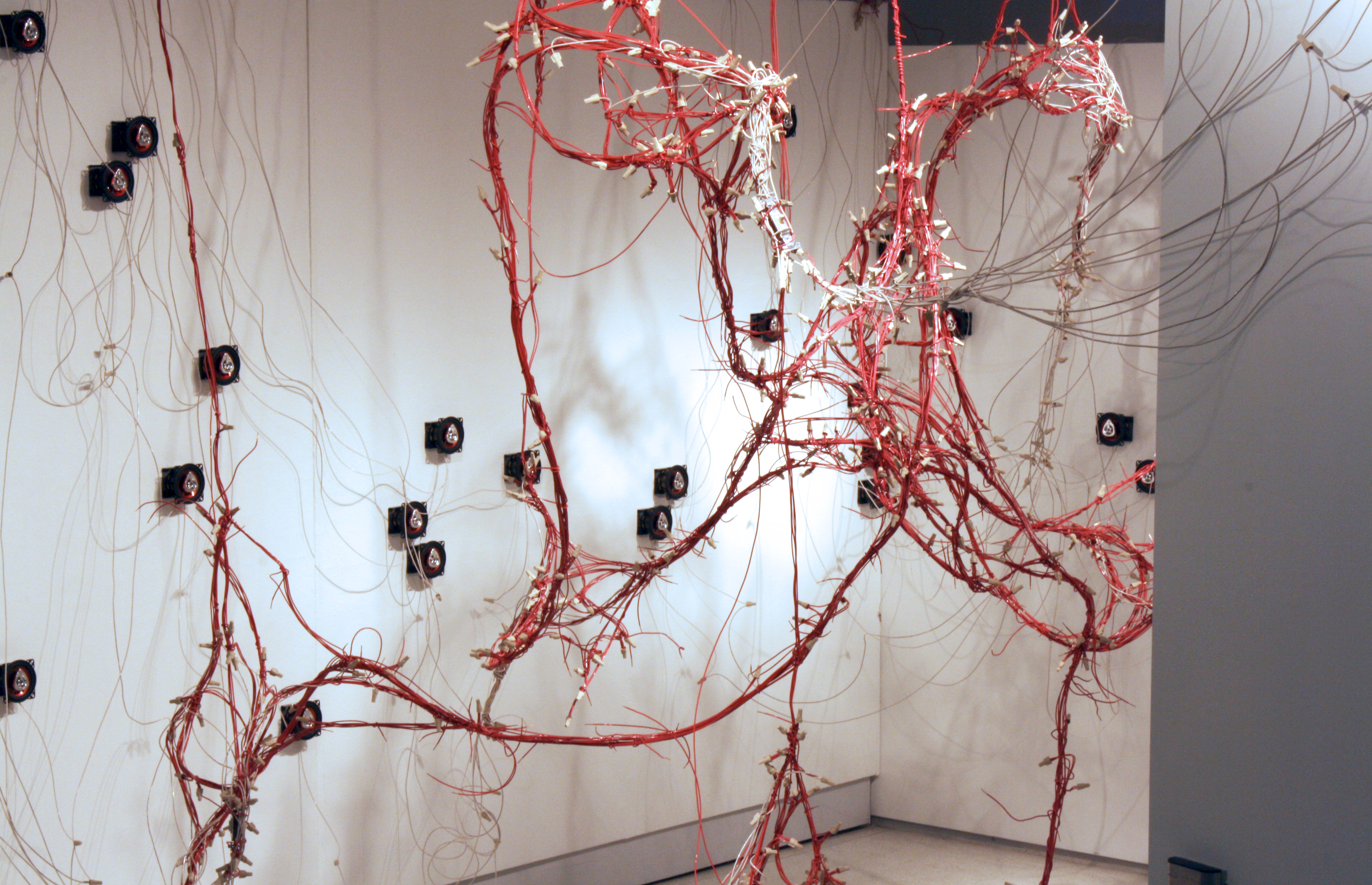 installation with red wiring and speakers