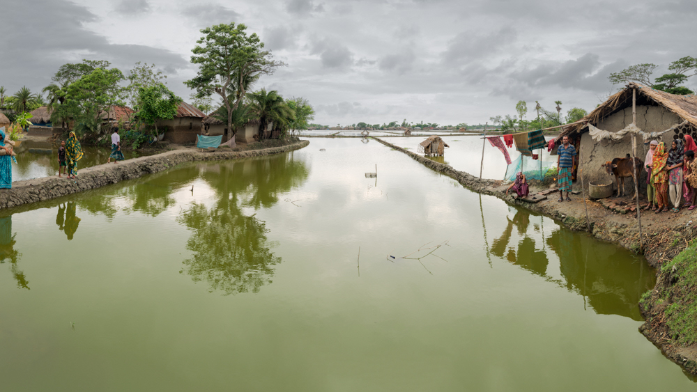 green fish farm with grey skies