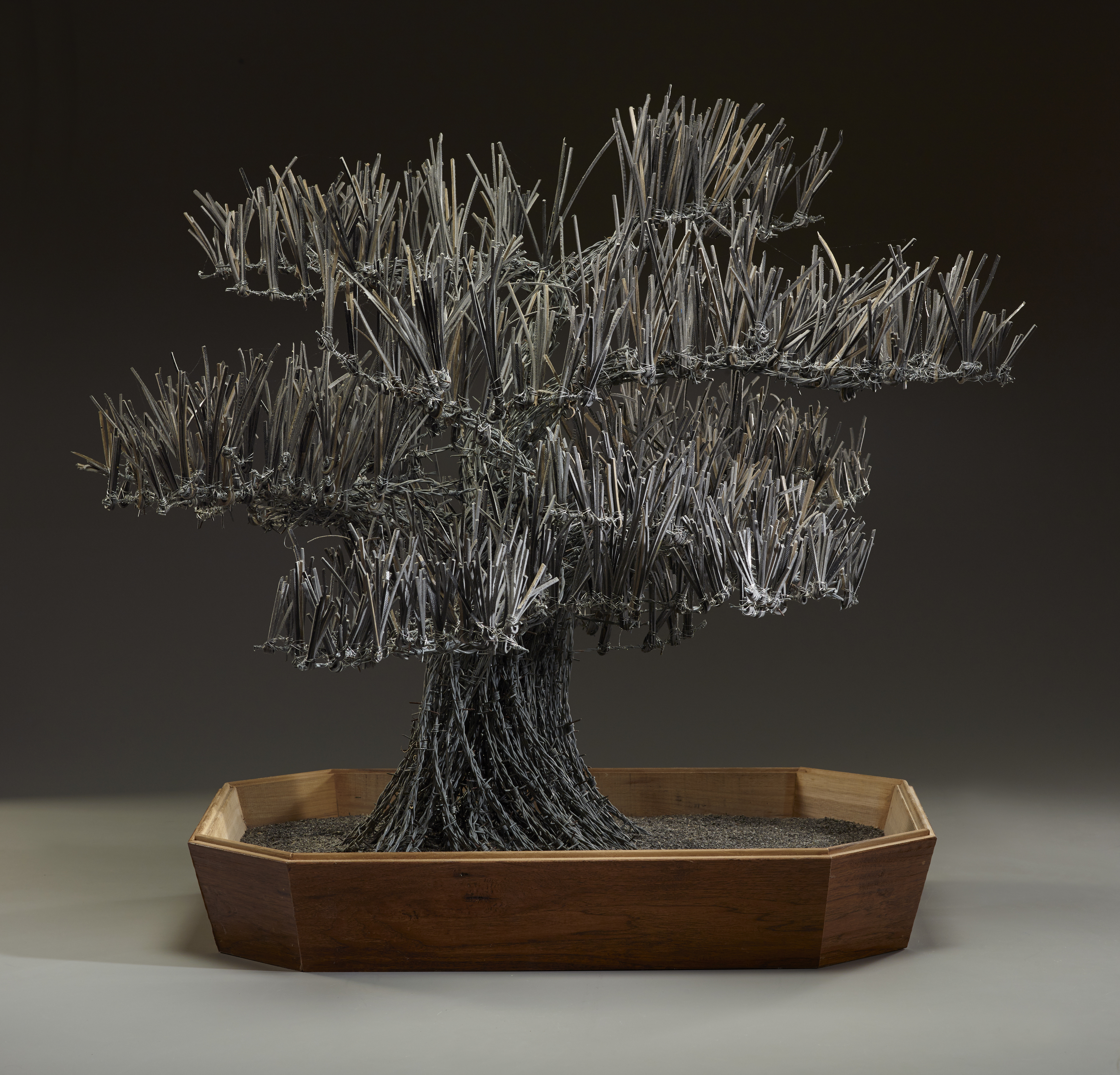 bonsai tree from floor tile and barb wire