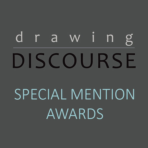 special mention award logo
