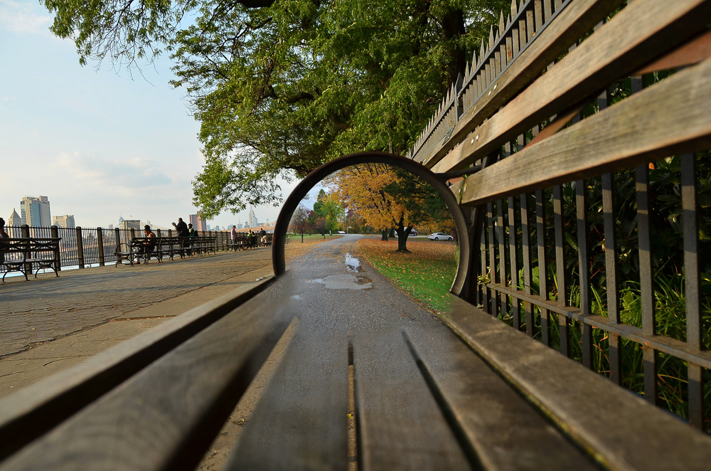 Photograph of portal on park bench