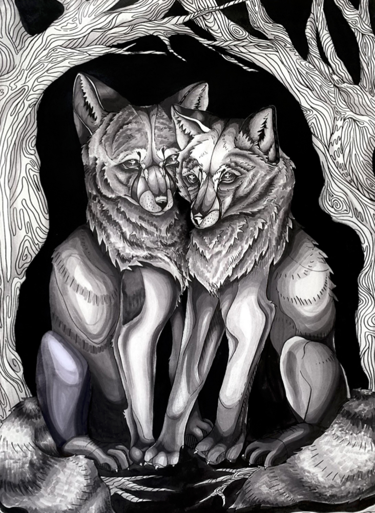 Ink drawing of two wolves